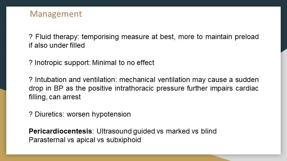 Slide14.JPG
