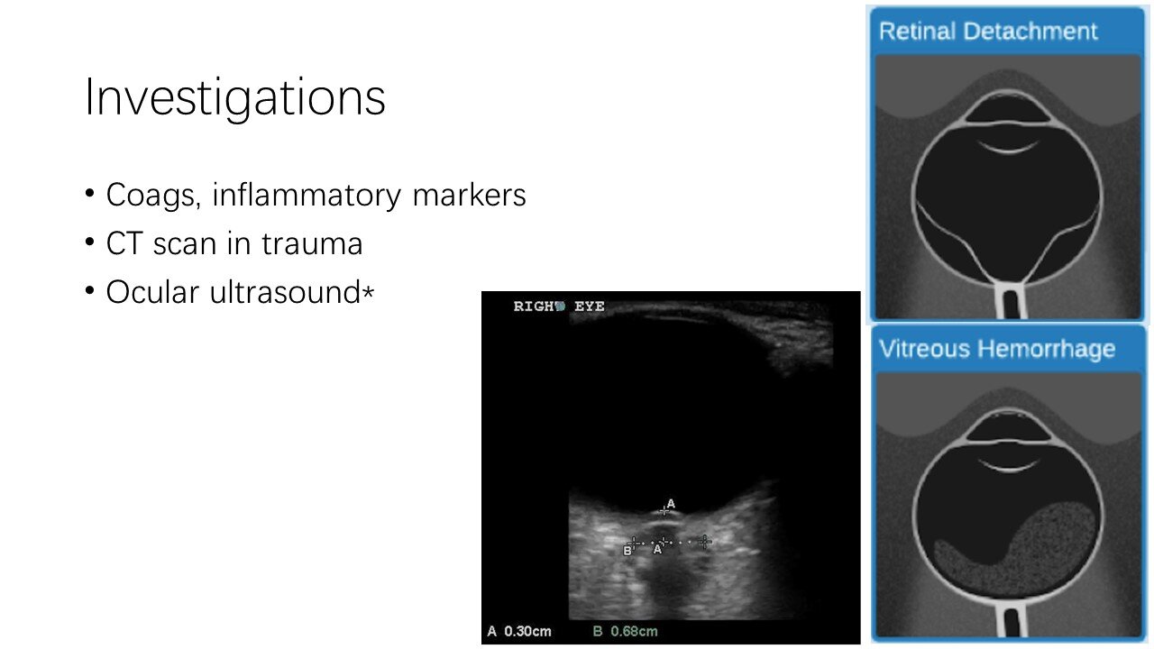 Slide10.JPG
