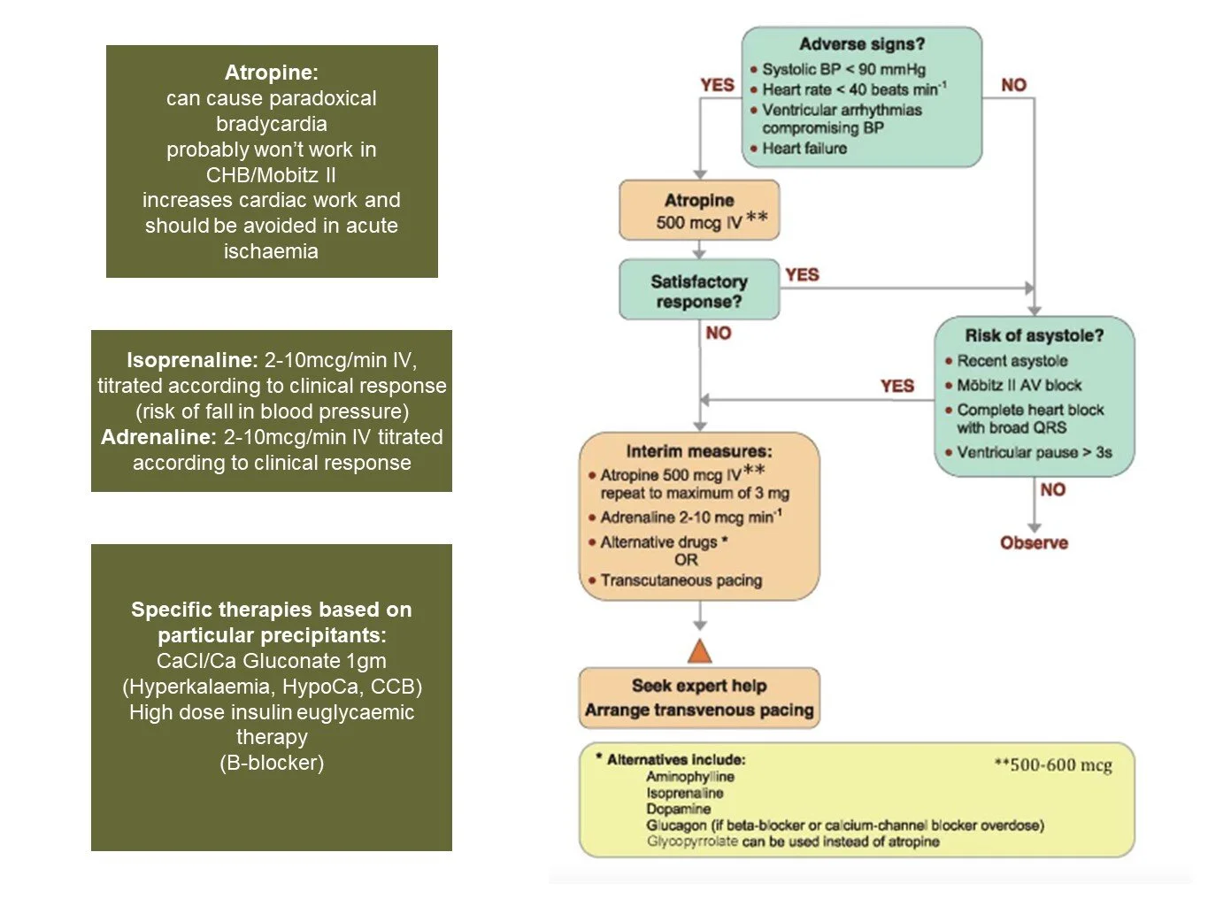 Slide9.JPG