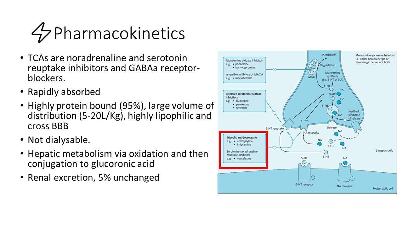 Slide6.JPG
