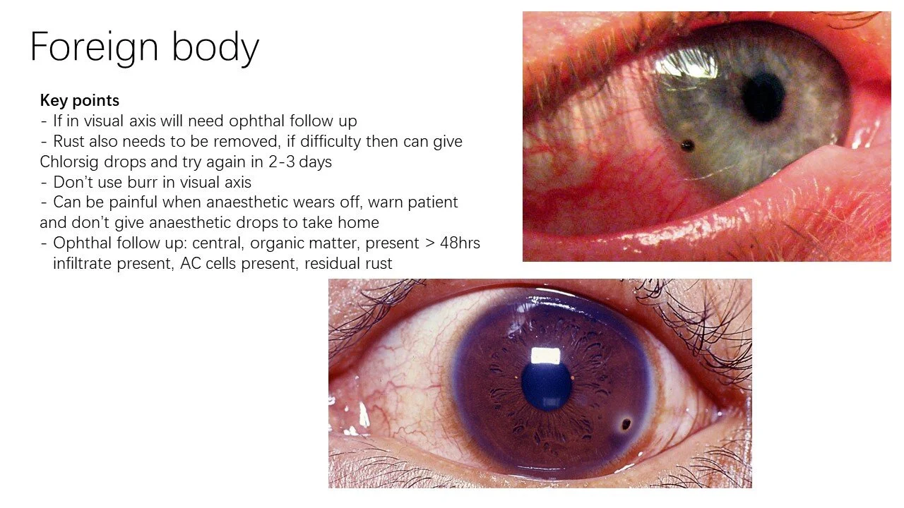 Slide15.JPG