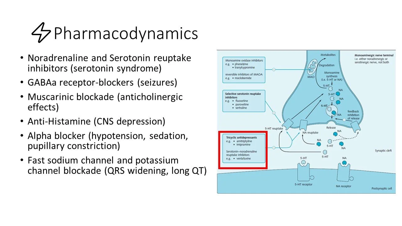 Slide5.JPG