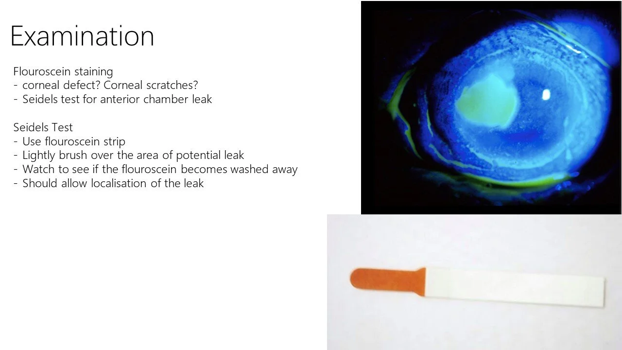 Slide6.JPG