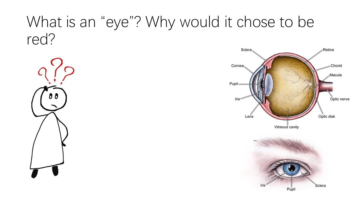 Slide2.JPG