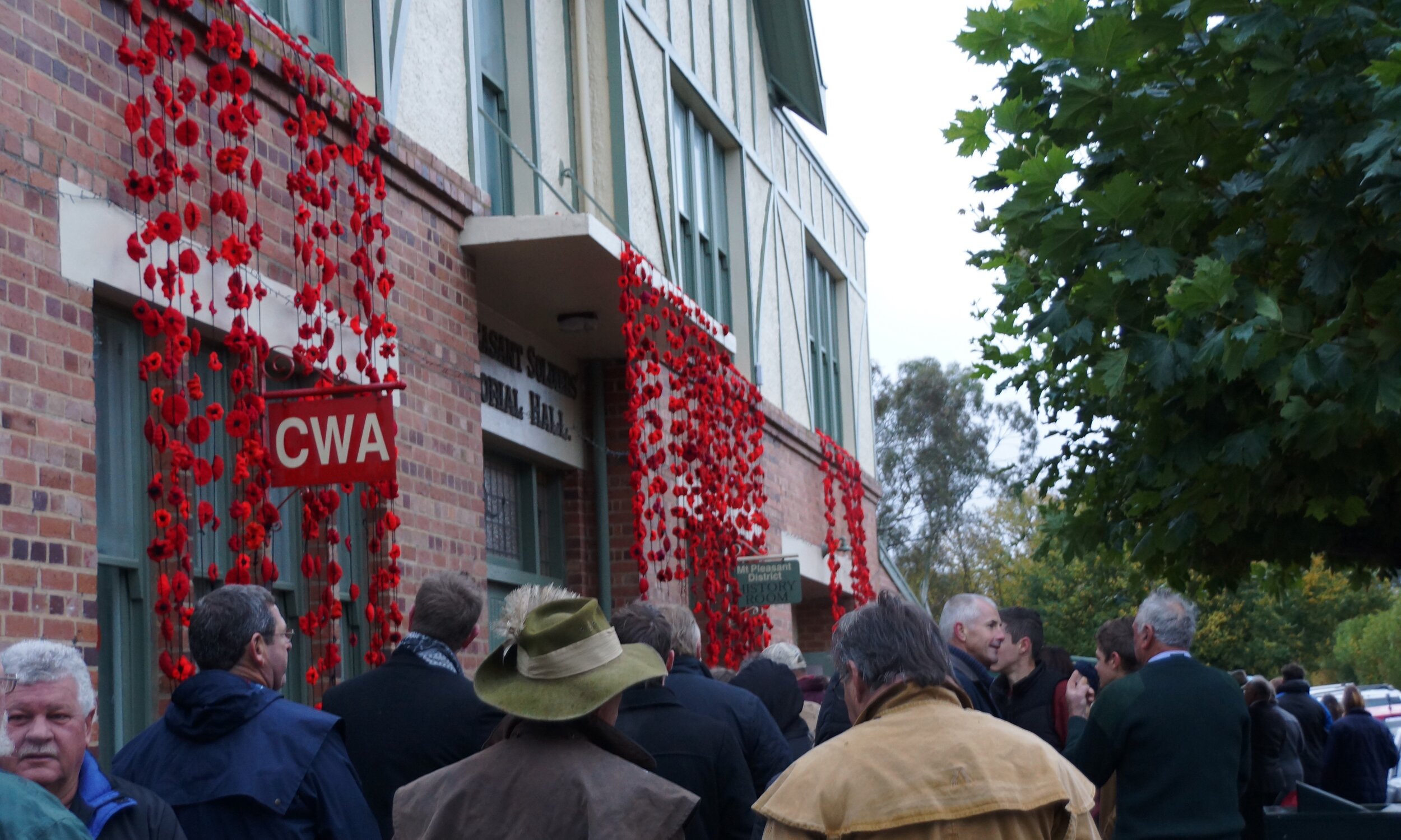 Anzac Poppies.jpg