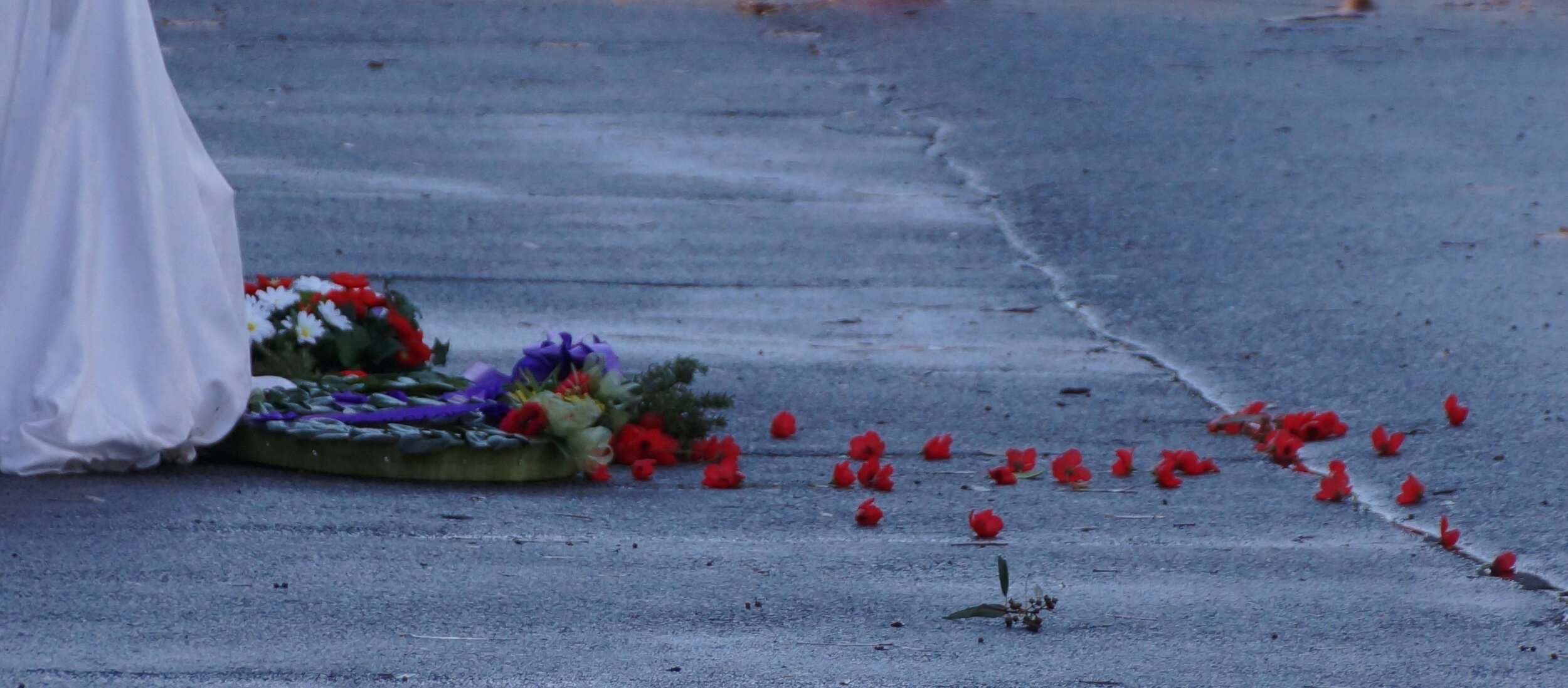 Anzac blowing poppies.jpg