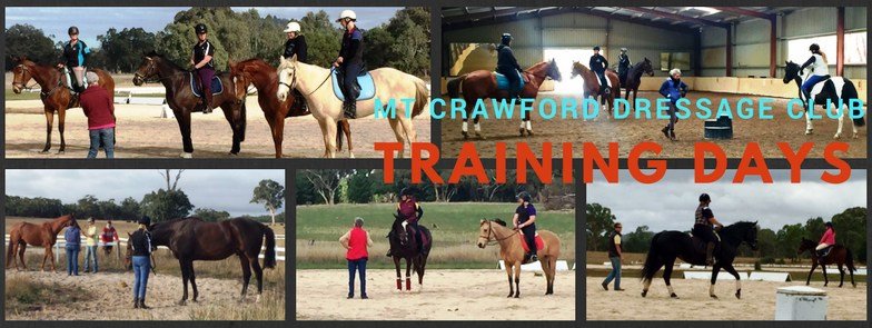 MCDC Training Day - Dressage Test Critique
