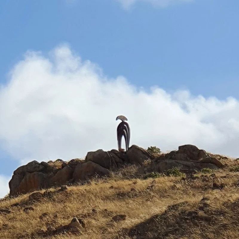 Palmer Sculpture Biennial