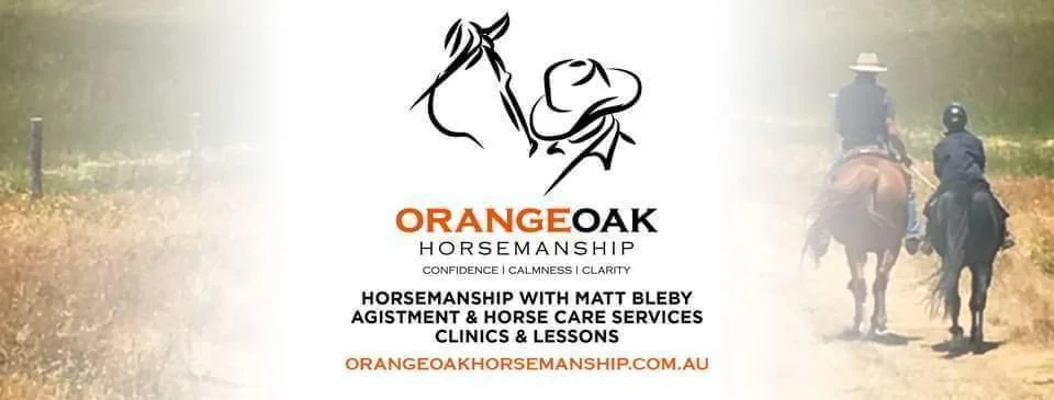 Horsemanship for Teens