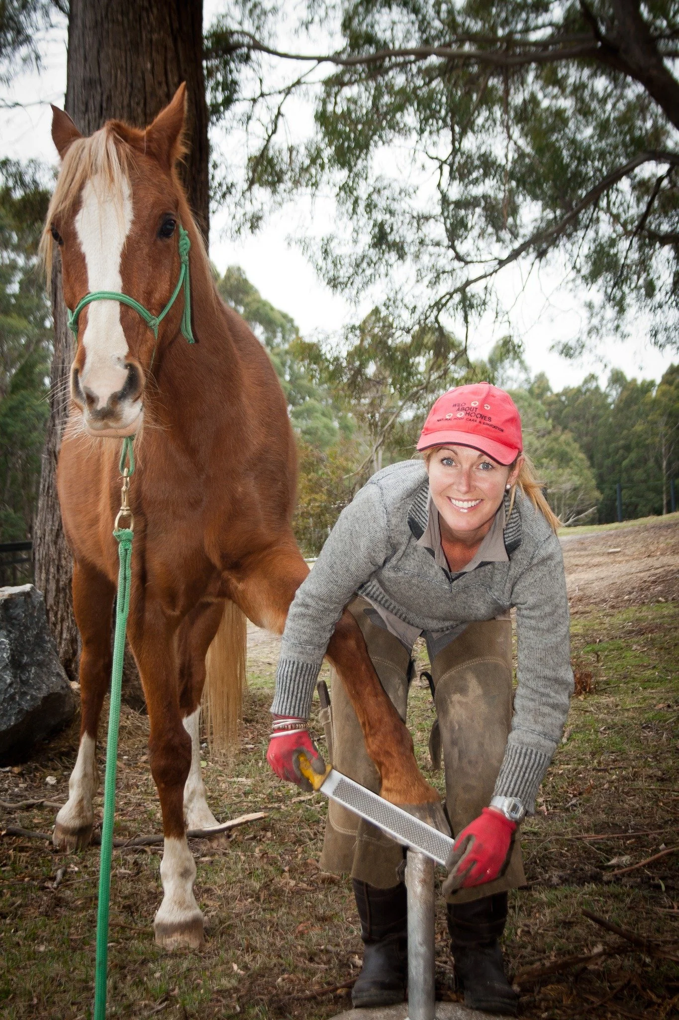 No Hoof, No Horse - Learn to Trim