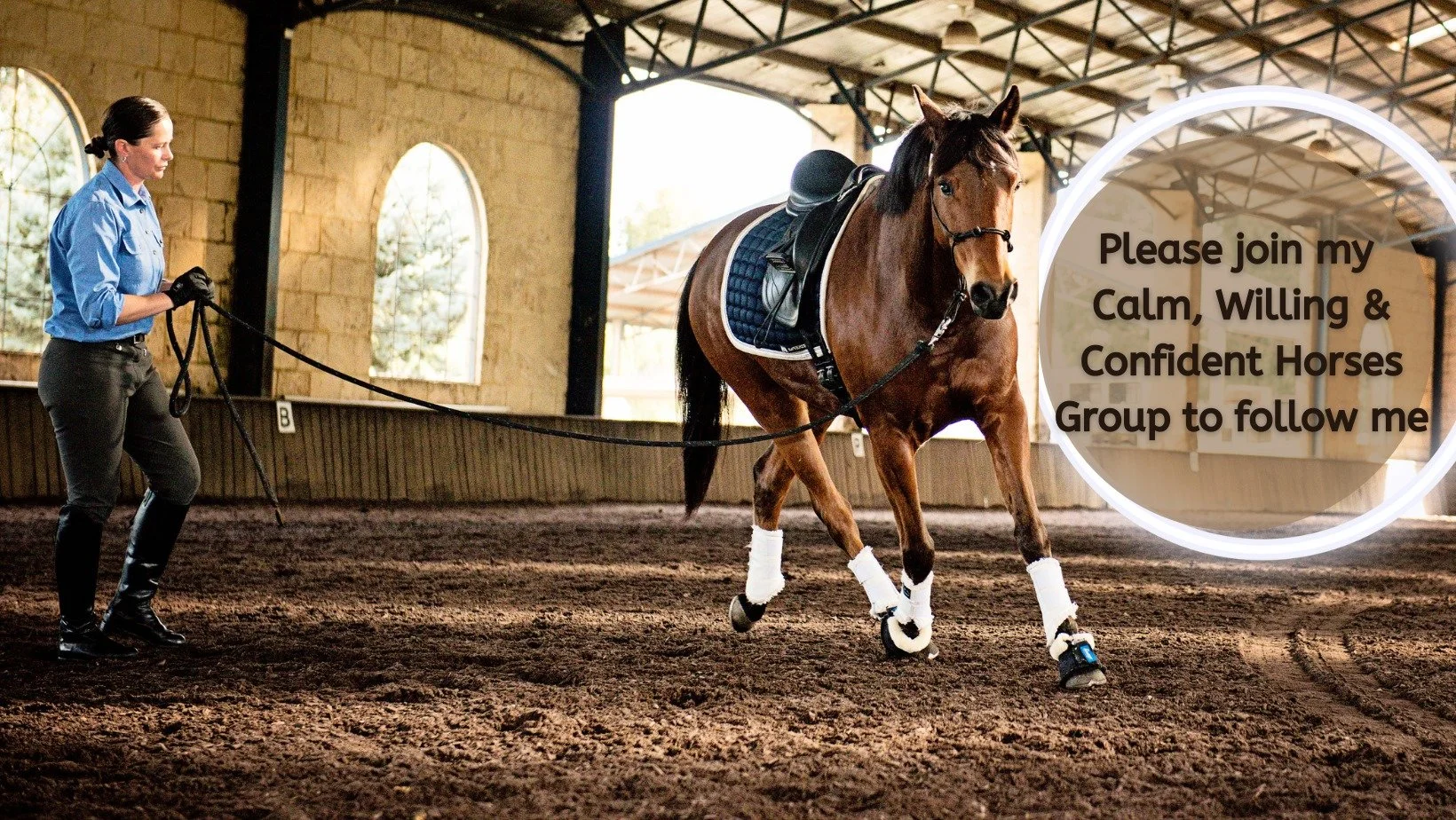 Calm, Willing and Confident Horses Clinic