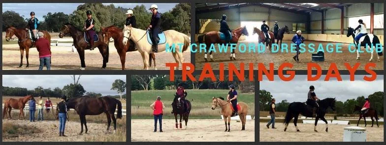 Mt Crawford Dressage Club Training Day