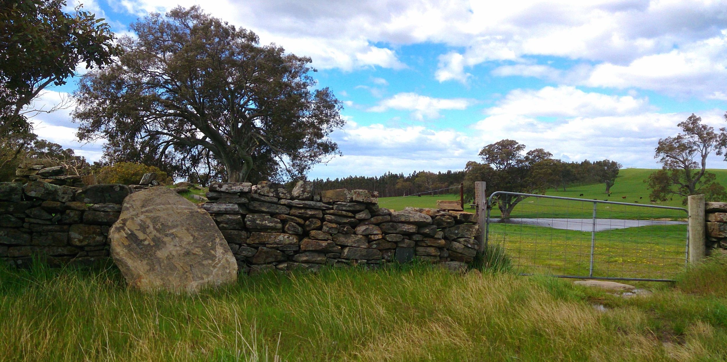 Dry Stone Wall.jpg