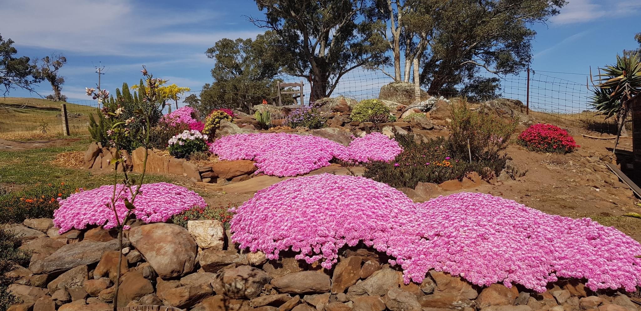 Open Gardens - Eden Valley