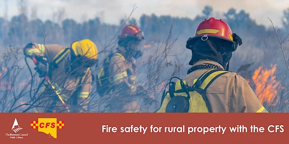 Fire Safety with CFS