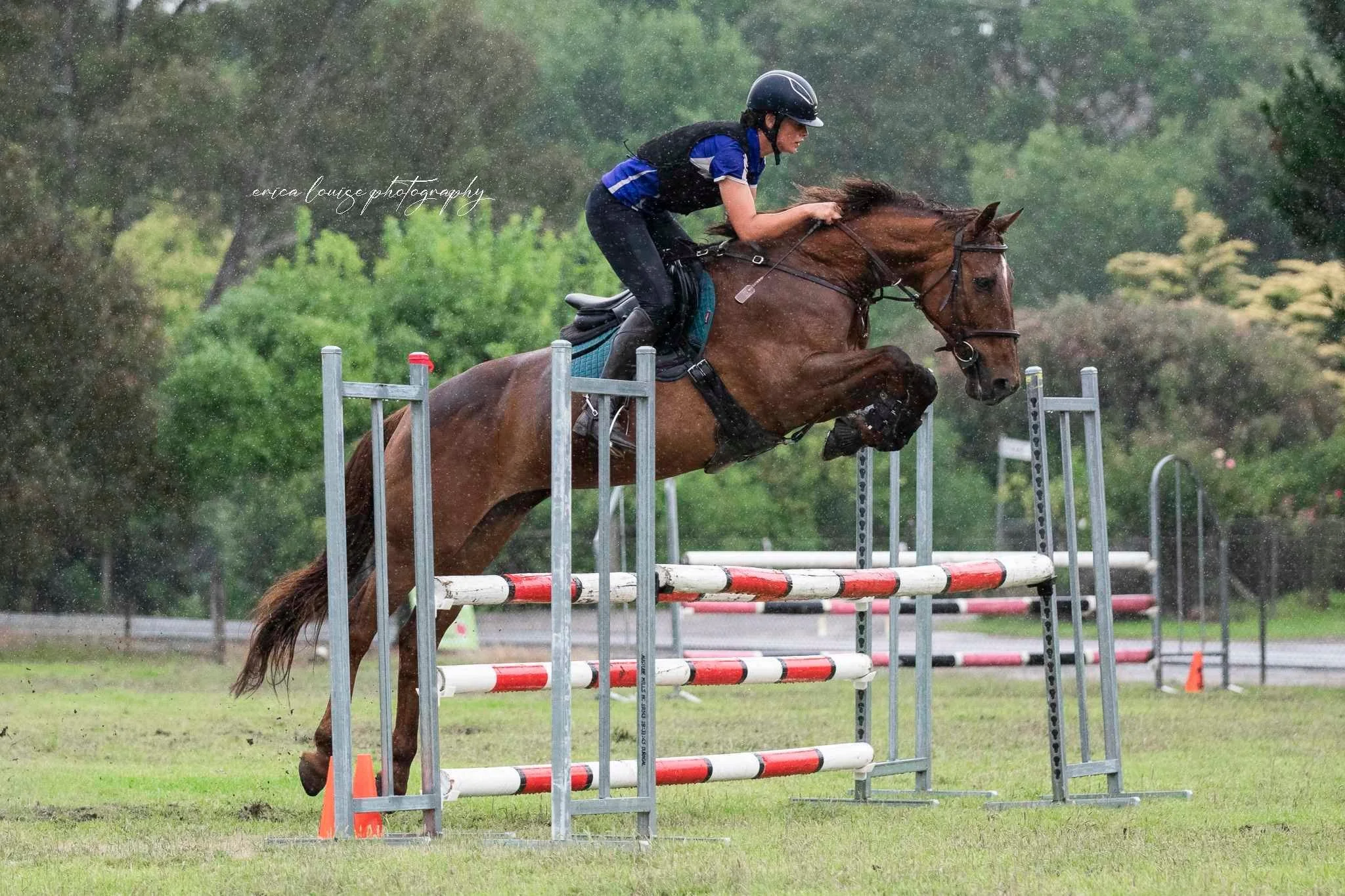 MPPC Freshman's Show Jumping