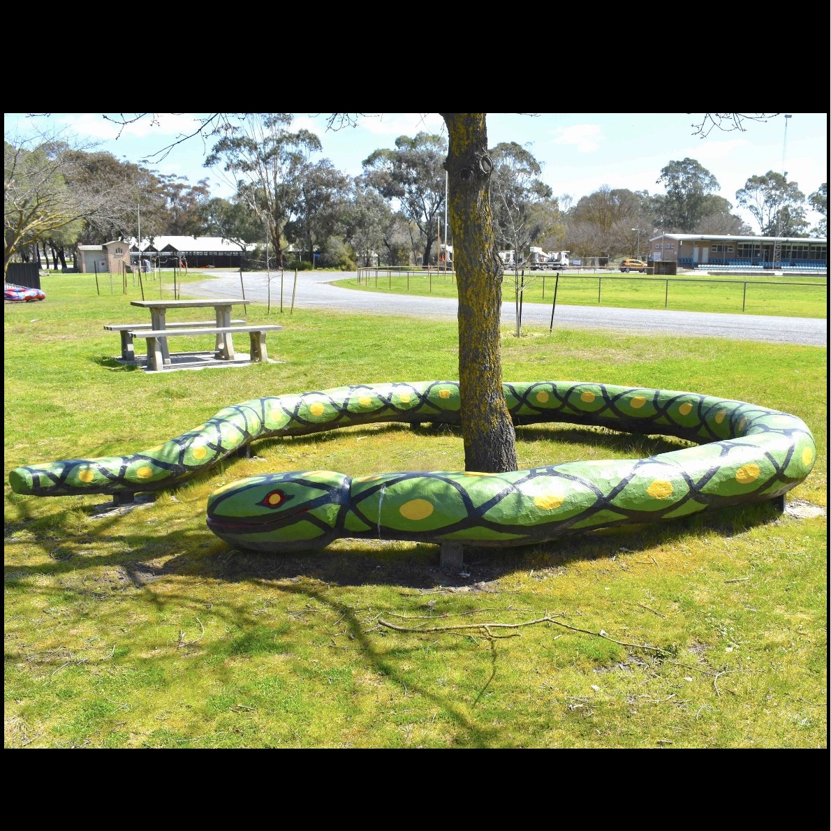 After Green Snake square.jpg