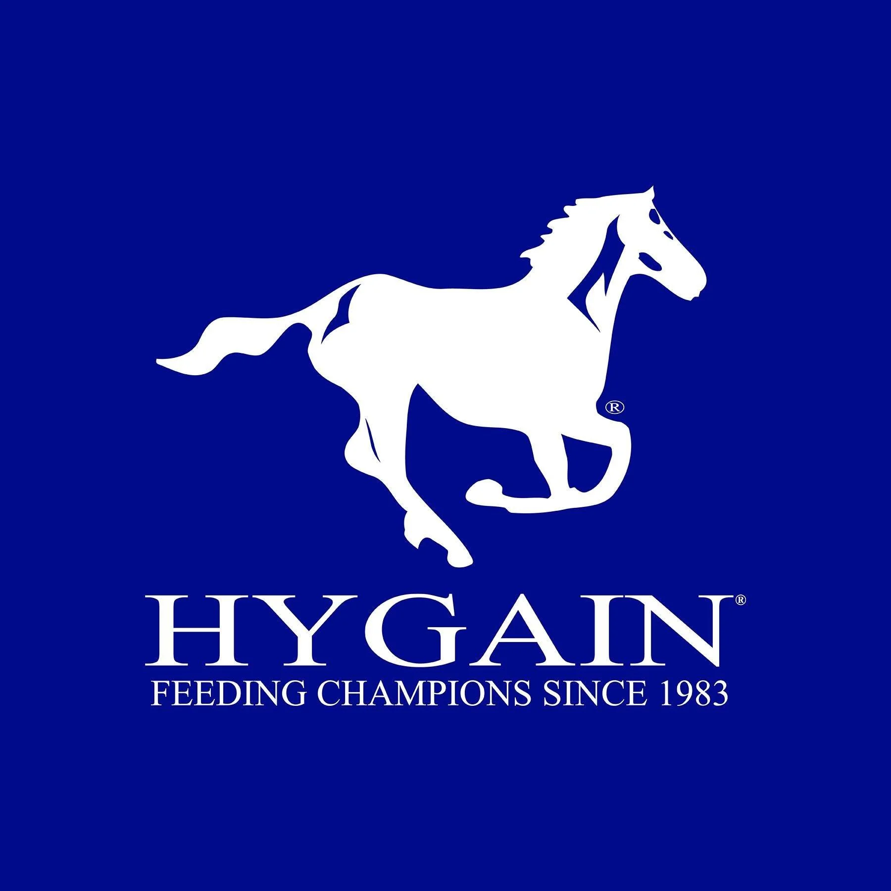 Hygain SA Horse of the Year Show