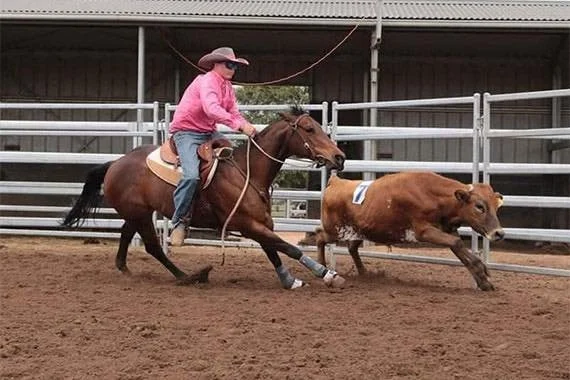 RHASA and AHTPA Cow Working Clinic