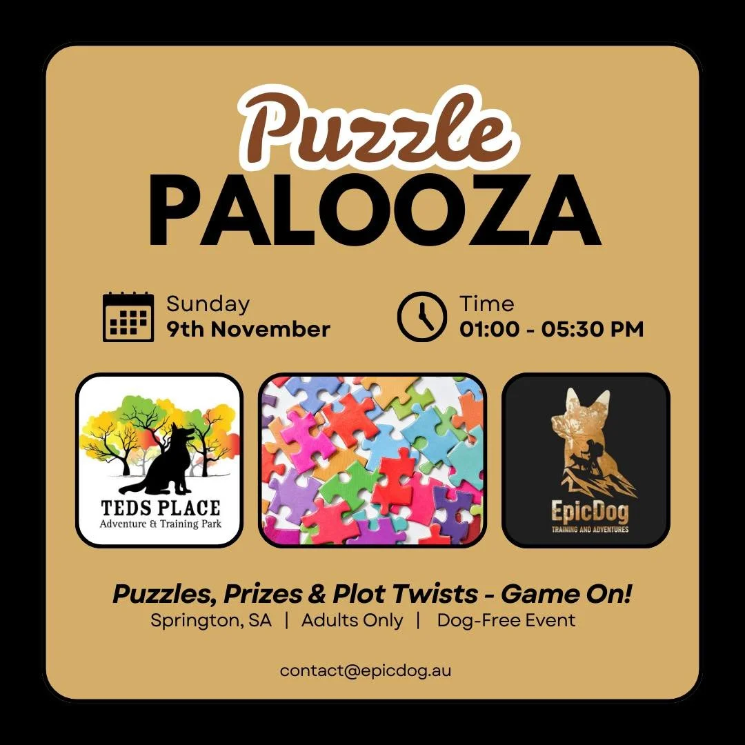 Puzzle Palooza