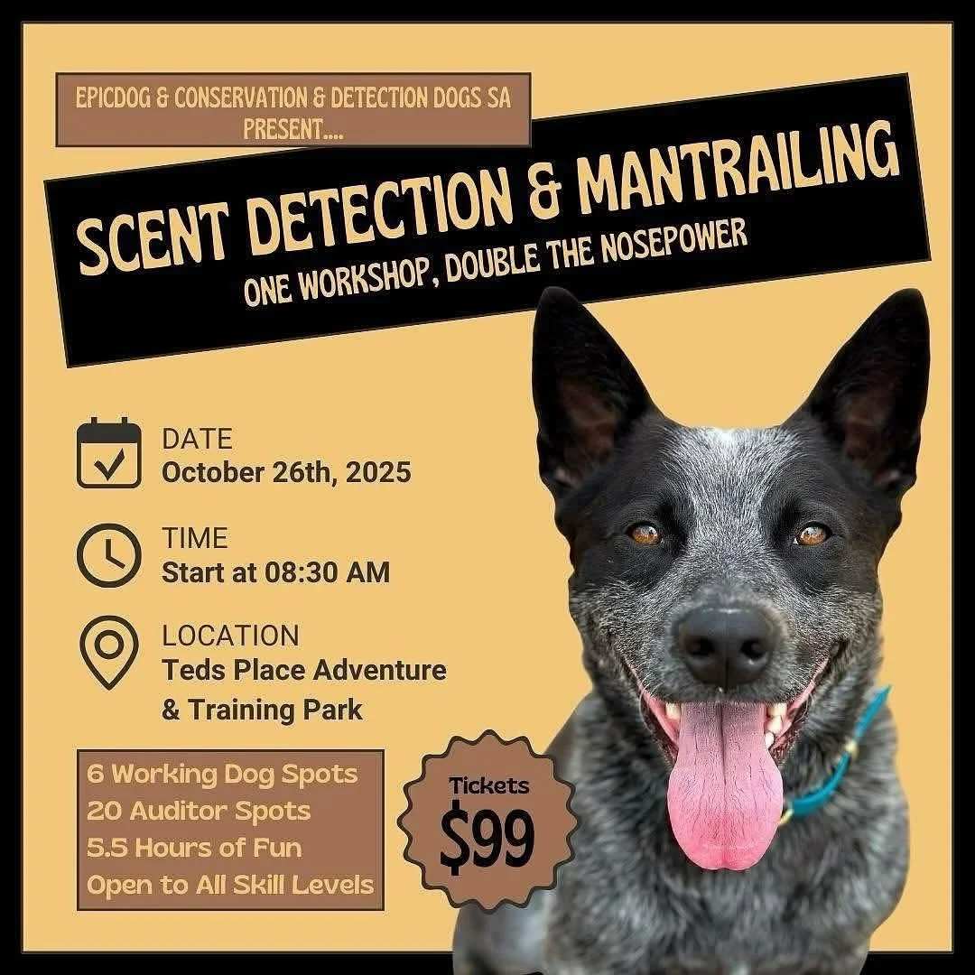 Scent Detection and Mantrailing Workshop