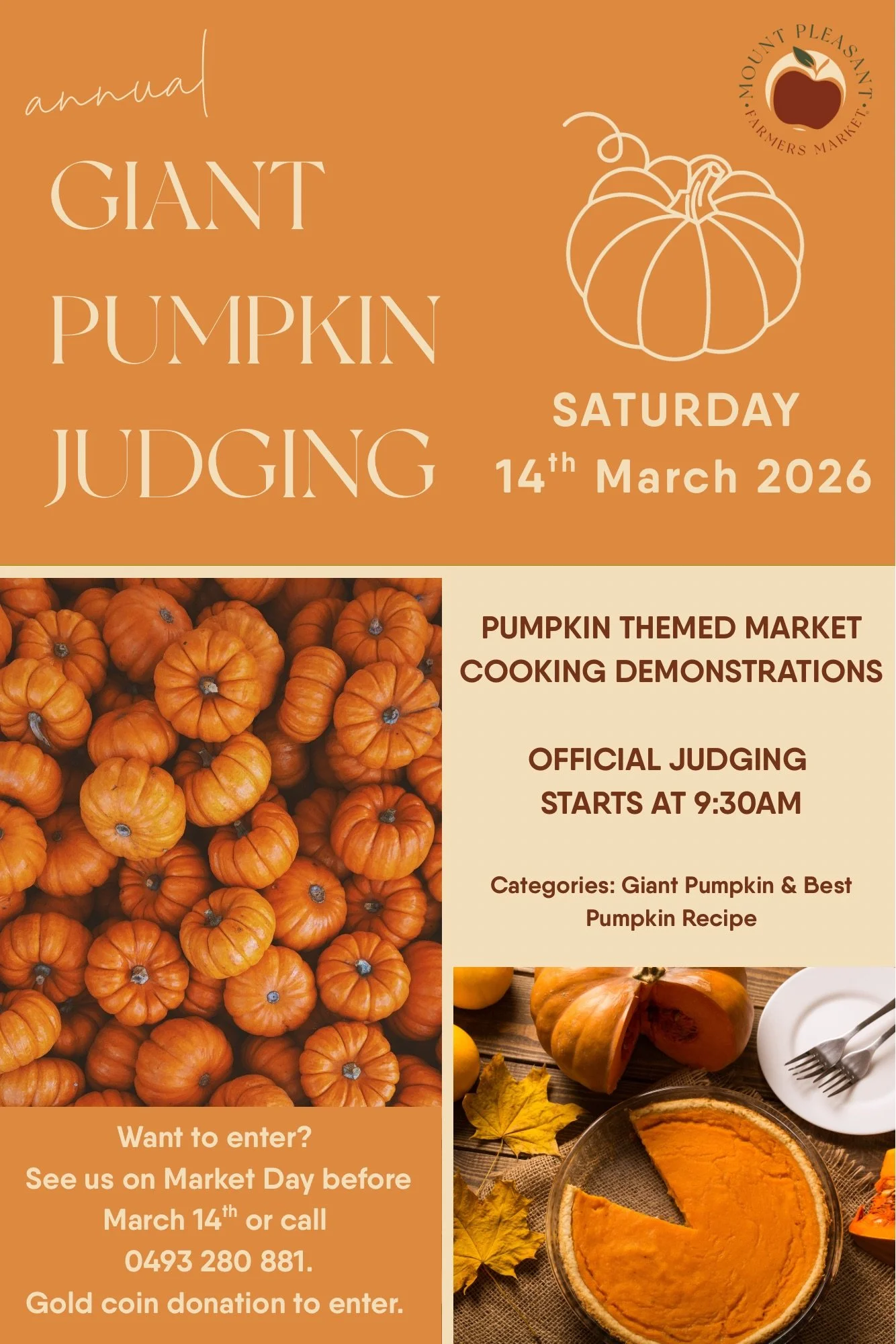 Giant Pumpkin Judging