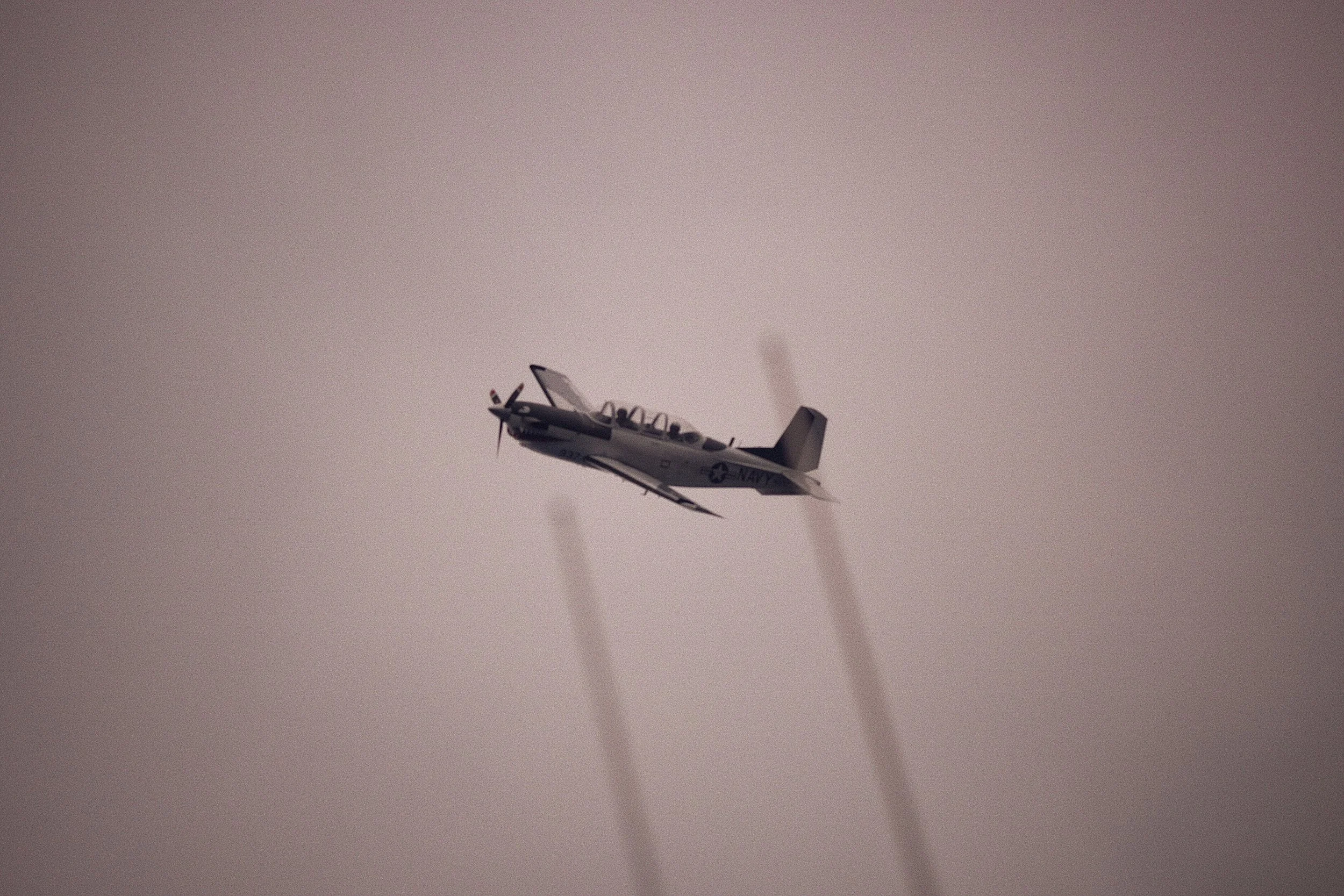NZR_5248.jpg