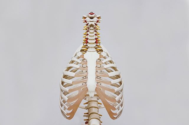 &quot;Once you start approaching your body with curosity rather than with fear, everything shifts&quot; - Bessel van der Kolk, M.D. 🌿