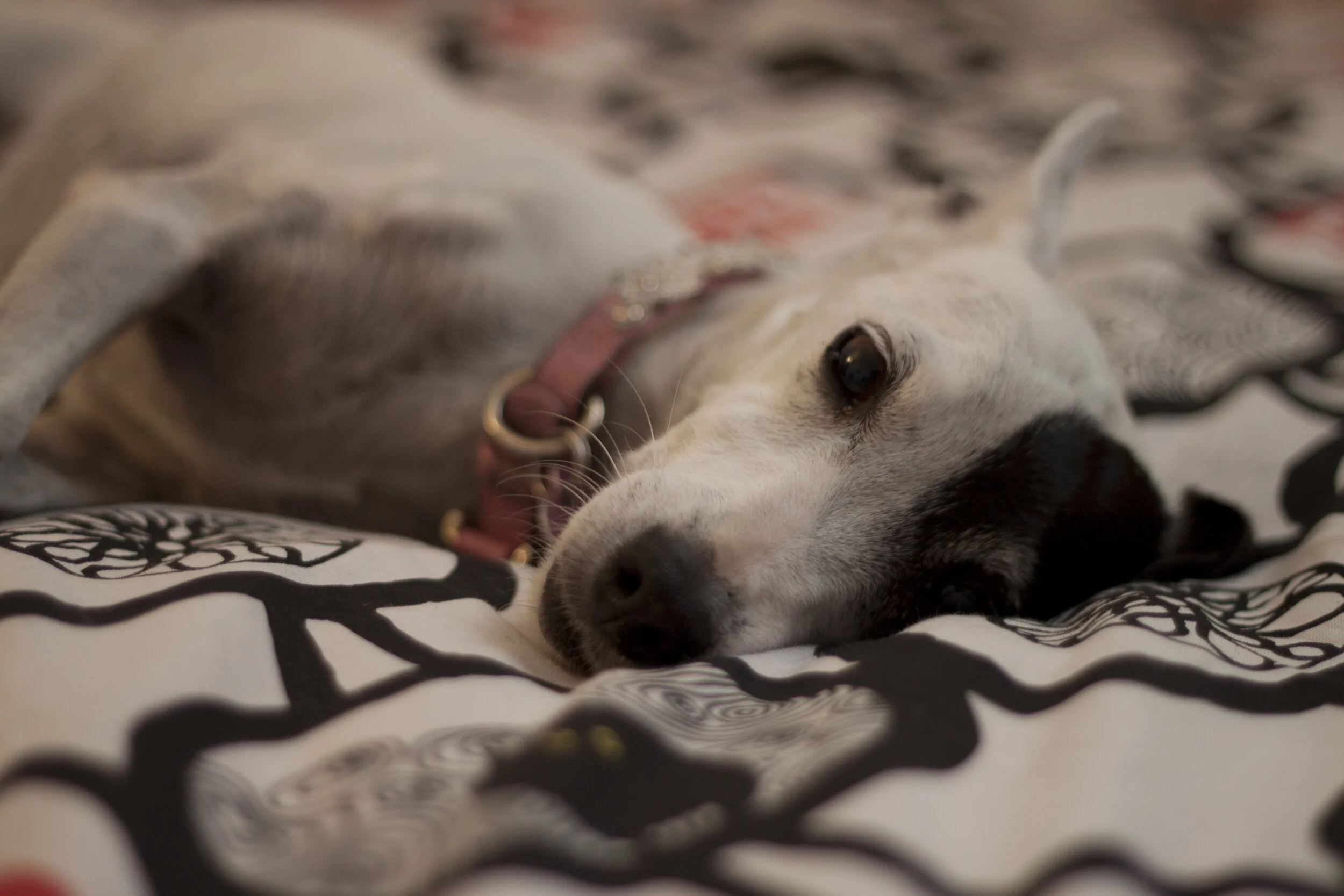 Assignment 2-8869.jpg