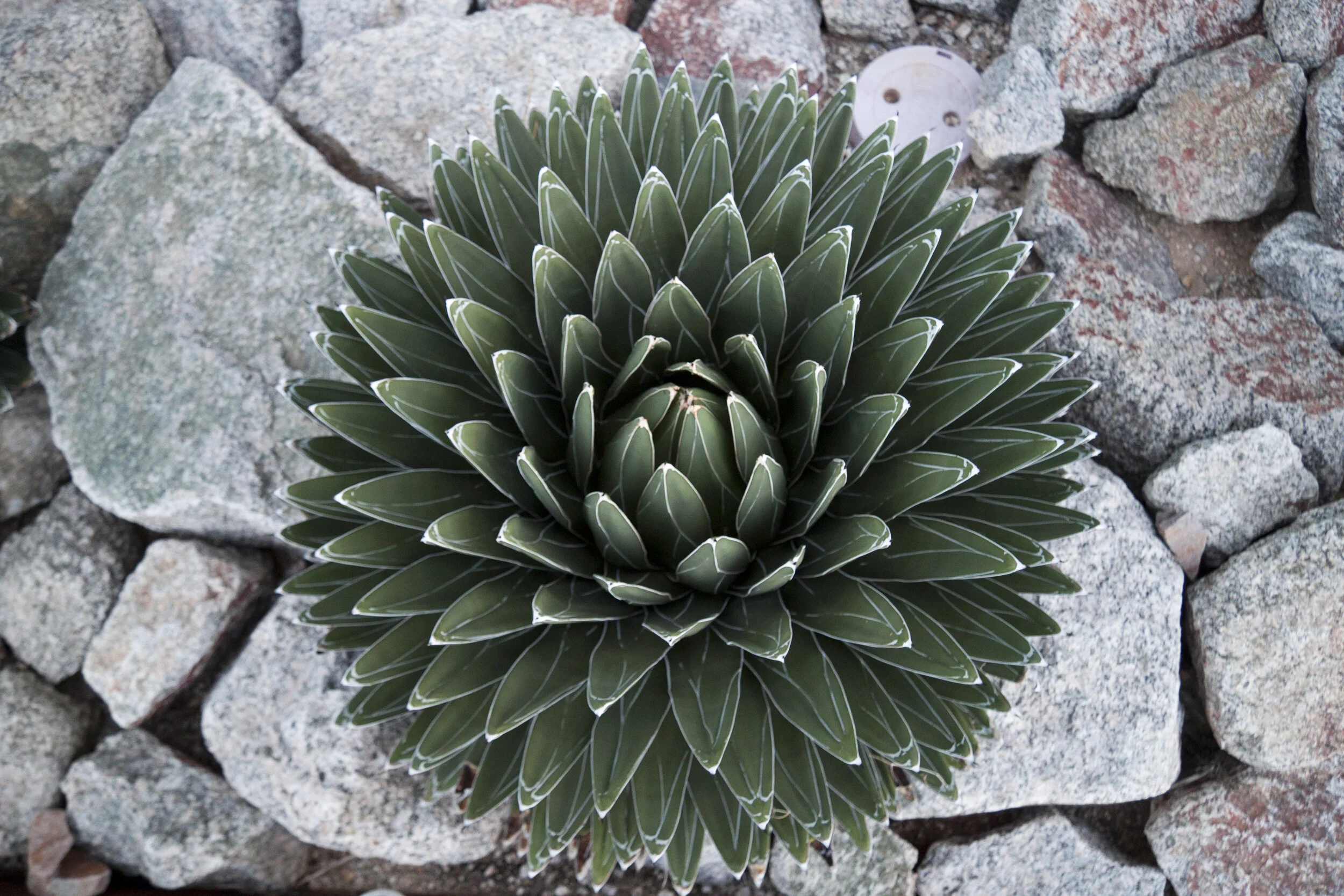 Assignment 2-8938.jpg