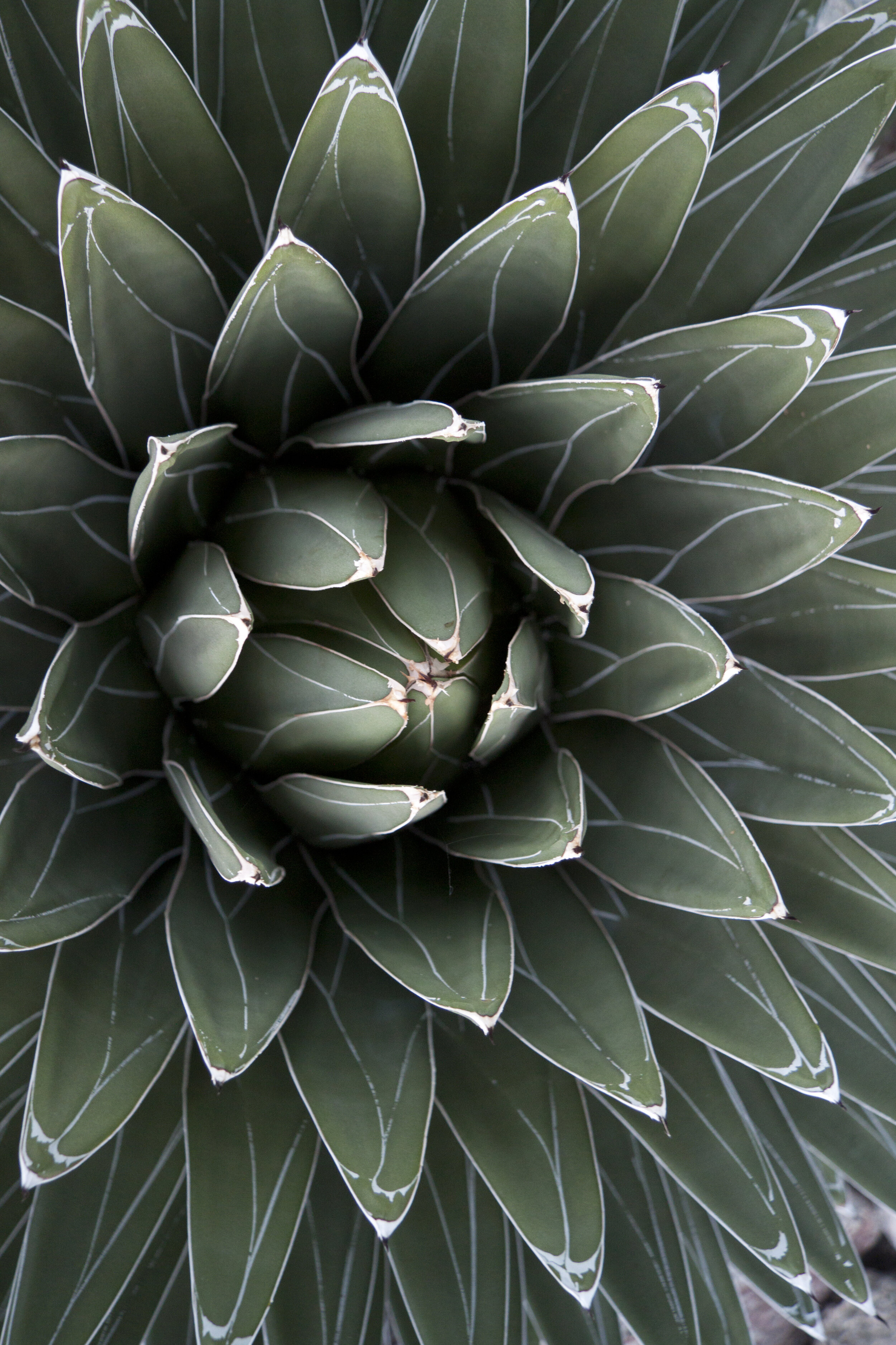 Assignment 2 -8942.jpg