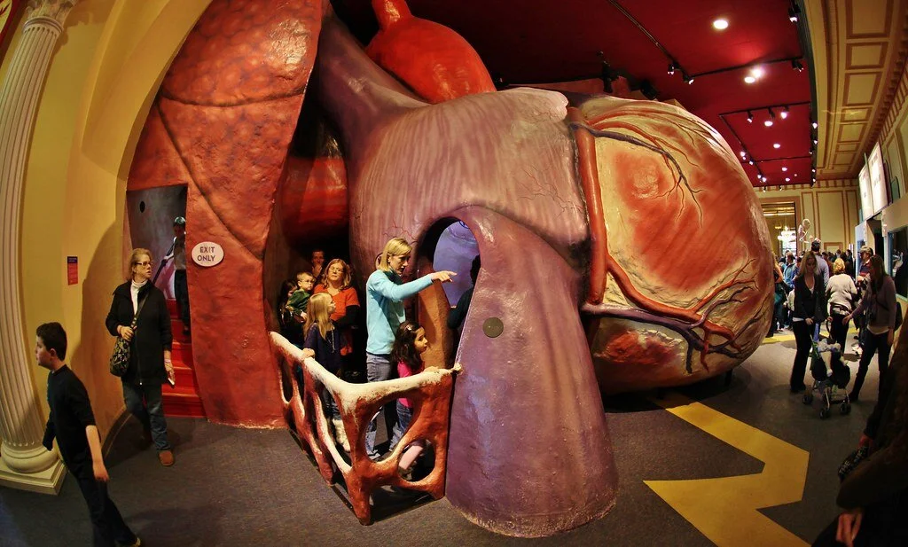 The Giant Walk-in Heart (Benjamin Franklin Institute, Philadelphia PA)