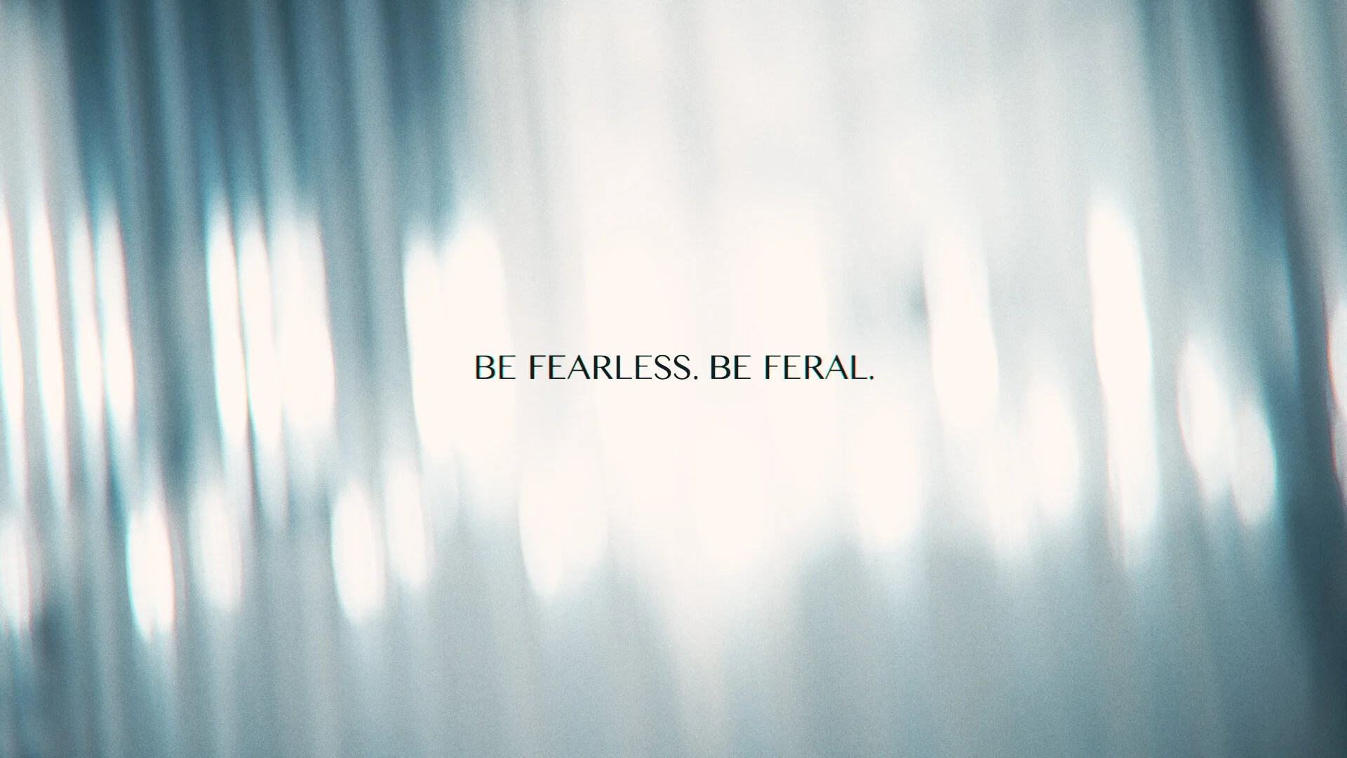 feral_slogan2.jpg