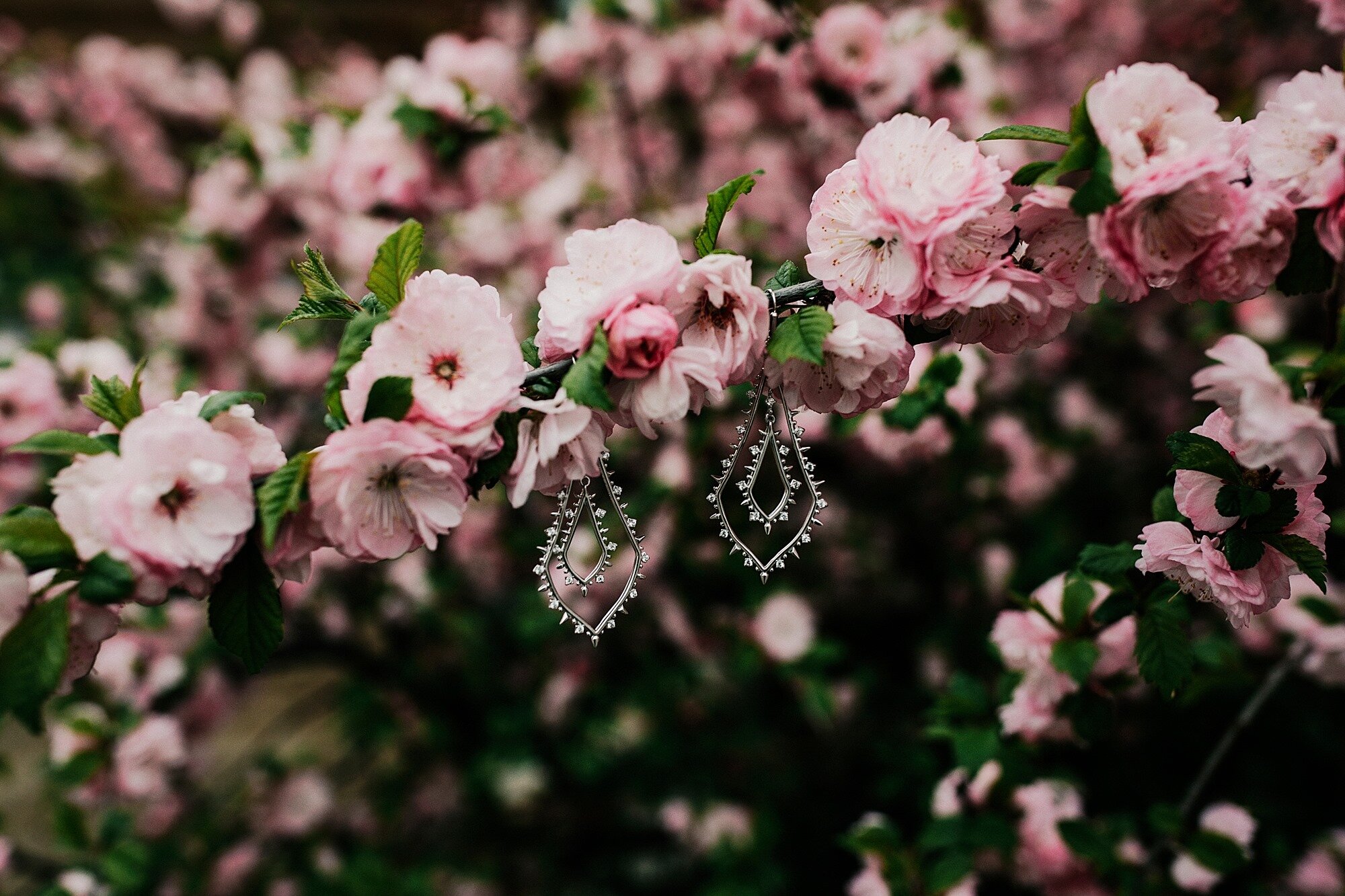 6BE6288C-B0FF-48AD-9B38-274F91D22593.jpeg