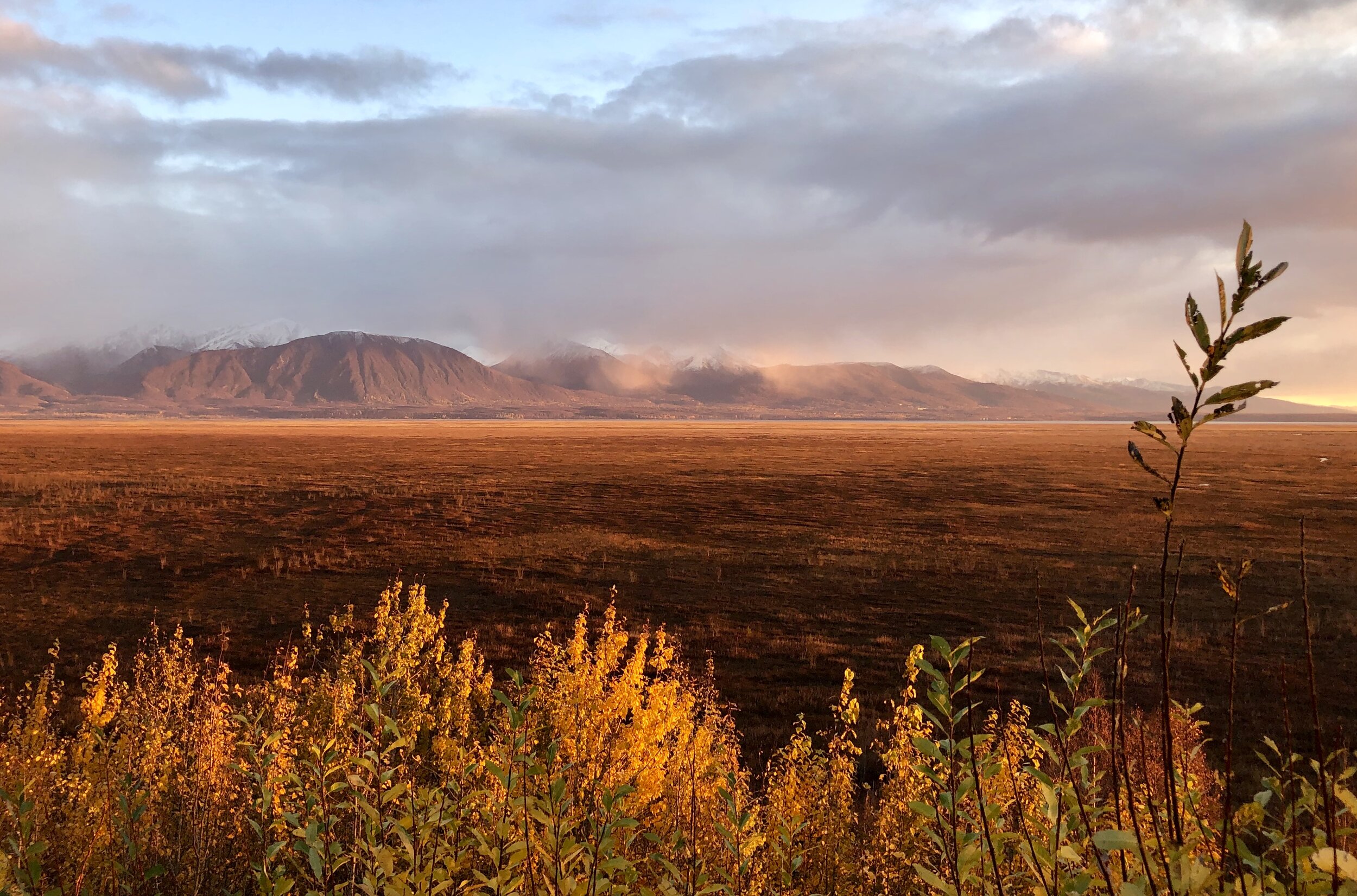 Photo Credit Sonja Stavenjord