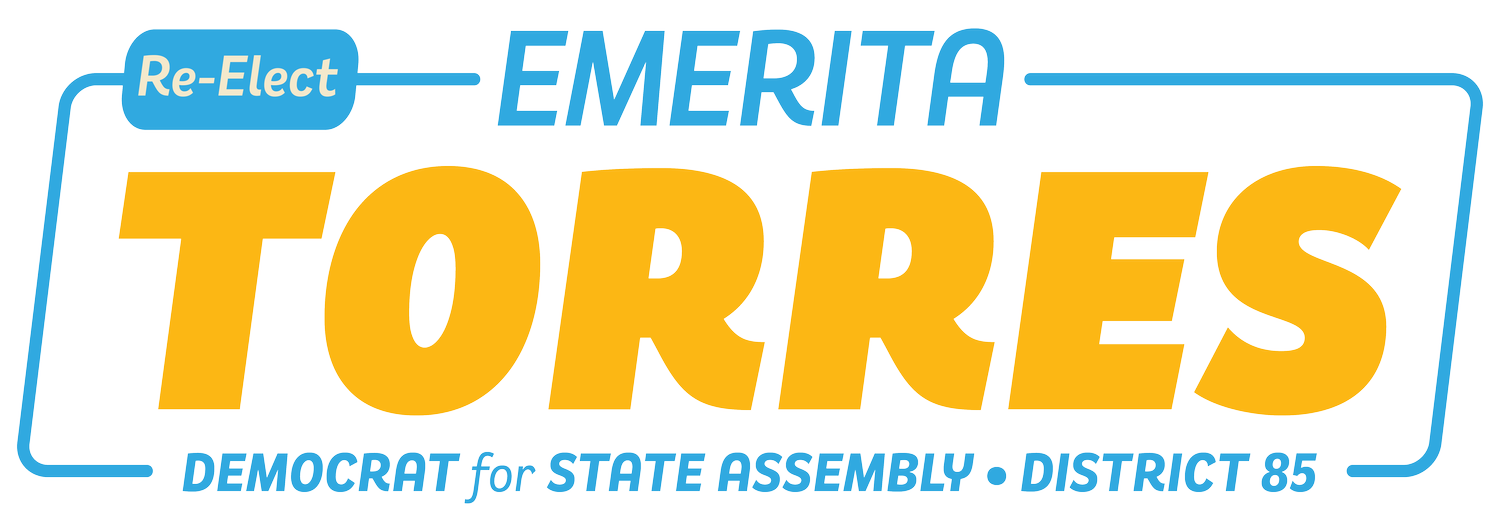 Emerita Torres for NY