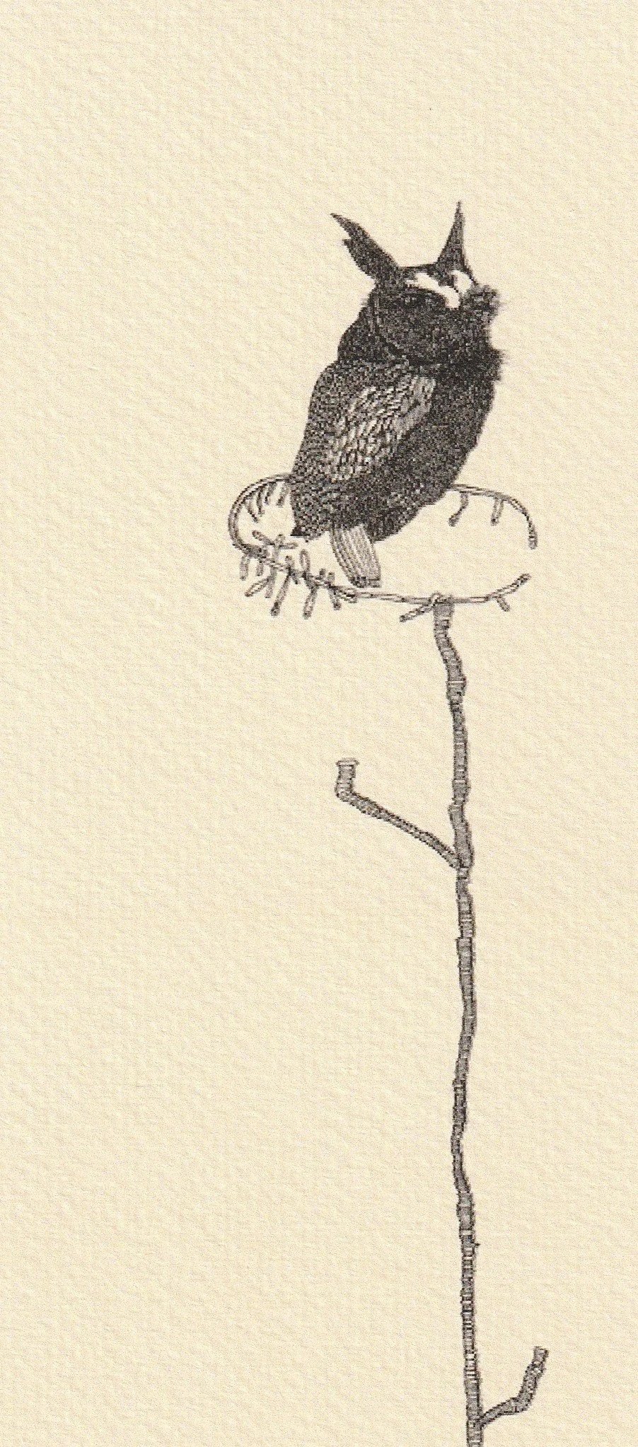 In the nest above