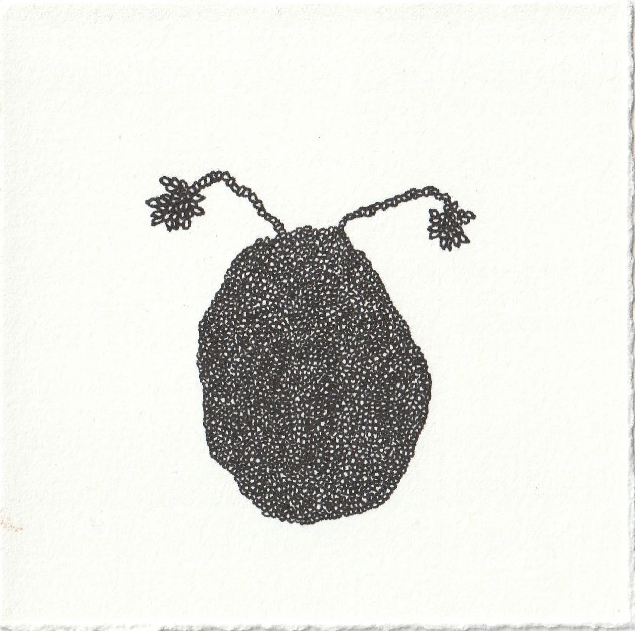 uterus1.jpg