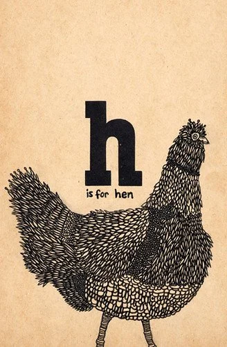 h-is-for-hen_2608721808_m.jpg