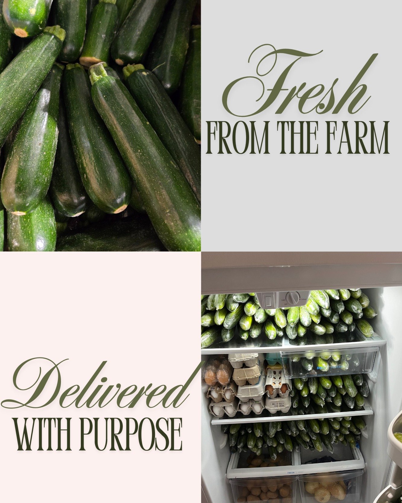 Fresh from the farm to the fridge &mdash; and soon to a table in need.