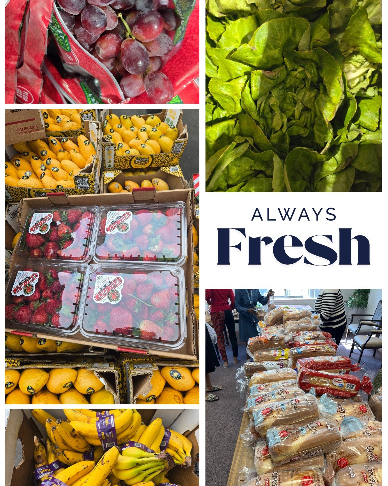 Always fresh. Always for our feeding partners.

We&rsquo;re proud to provide high-quality, fresh food to the community partners who nourish our neighbors because everyone deserves a meal that&rsquo;s both nutritious and dignified.