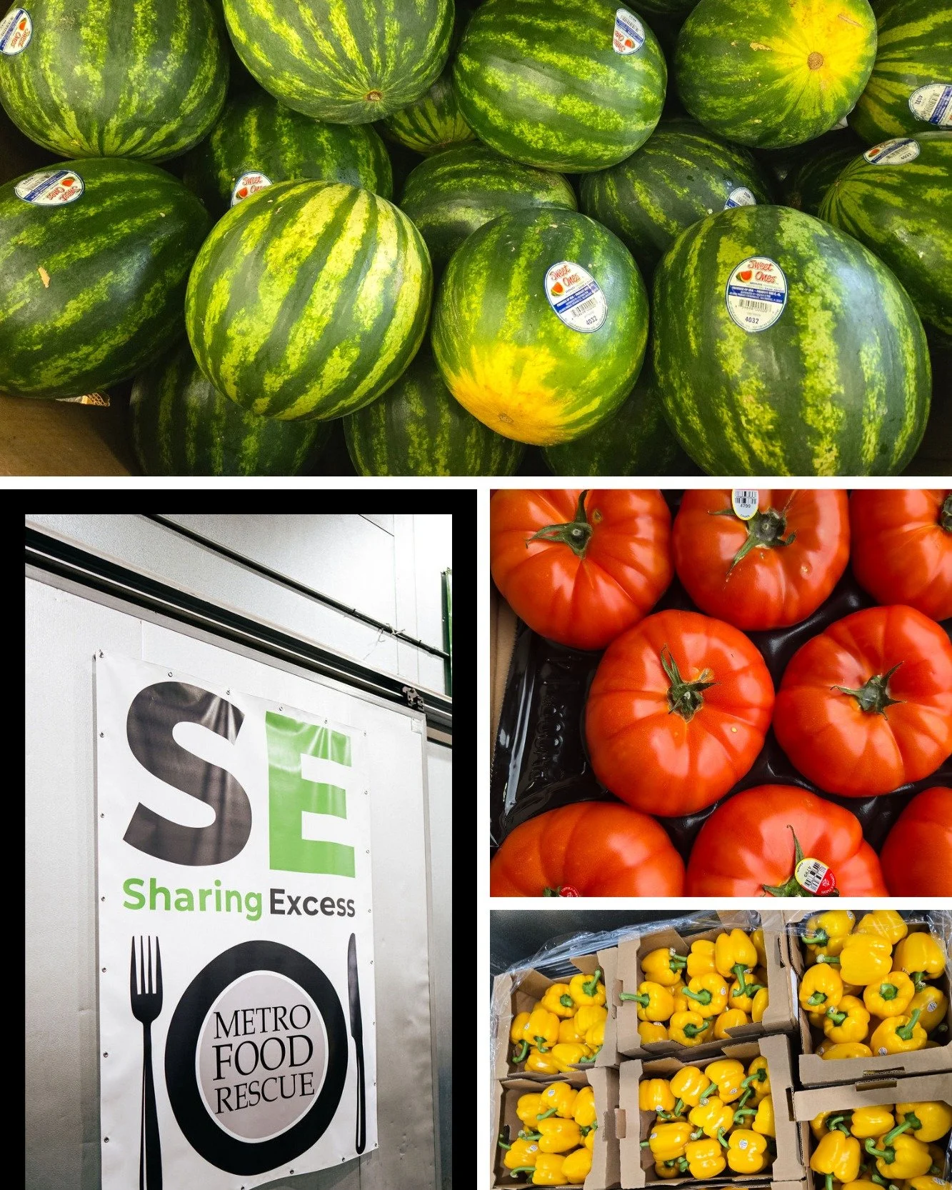 Evan Ehlers from @sharingexcess said it best:
&ldquo;40% of our total food supply goes to waste. If we could find a way to get just 10% of that into the hands of those in need, nobody in our country would have to go hungry.&rdquo;

That&rsquo;s exact
