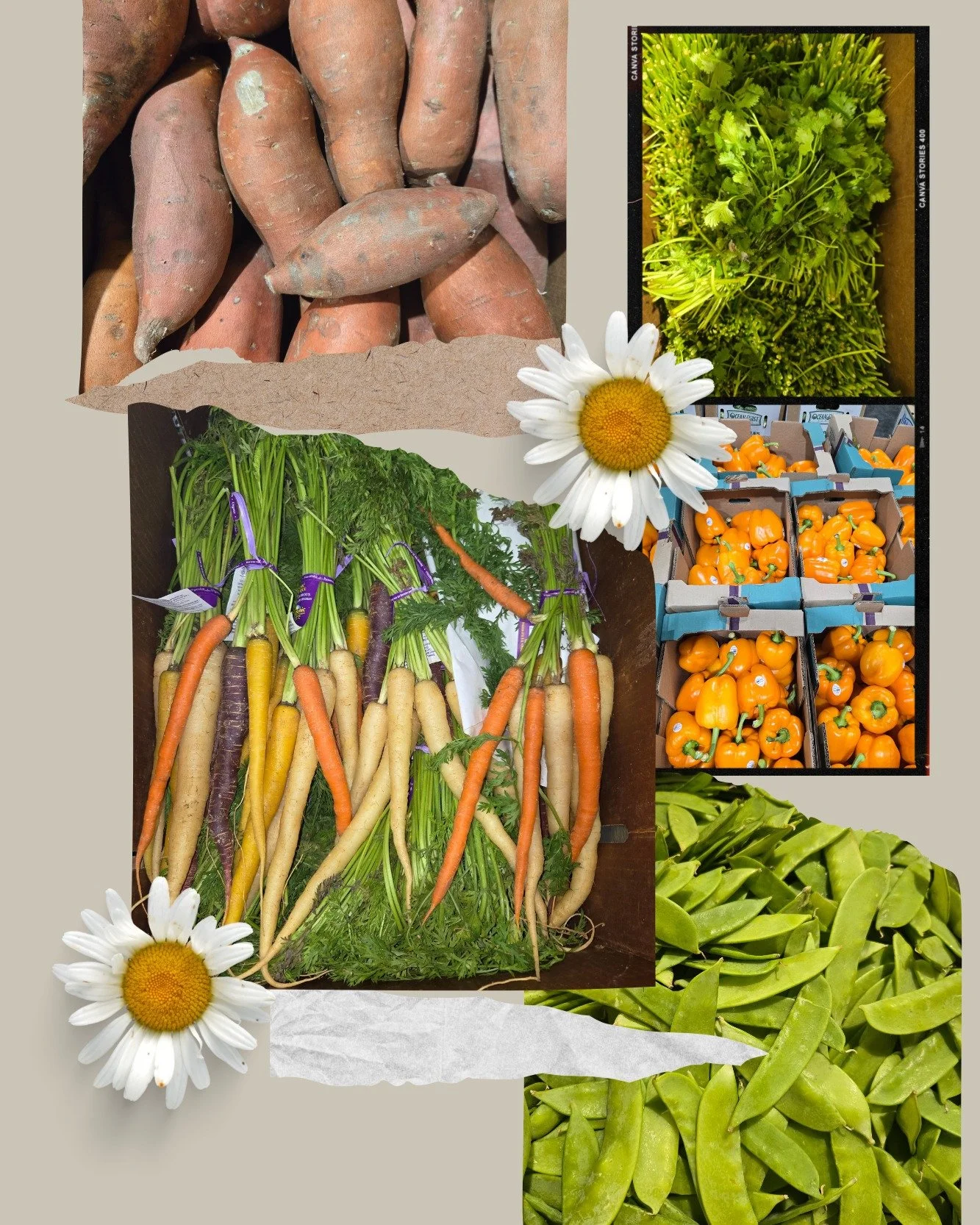 𝗝𝘂𝗻𝗲 𝗡𝘂𝗺𝗯𝗲𝗿𝘀 𝗔𝗿𝗲 𝗜𝗻! 

We rescued 𝟱𝟵𝟯,𝟵𝟬𝟴 𝗽𝗼𝘂𝗻𝗱𝘀 of food last month &mdash; that&rsquo;s 𝟰𝟵𝟰,𝟵𝟮𝟯 𝗺𝗲𝗮𝗹𝘀 saved and shared with our community!

Incredible work by our team, volunteers, and partners. Together, we're