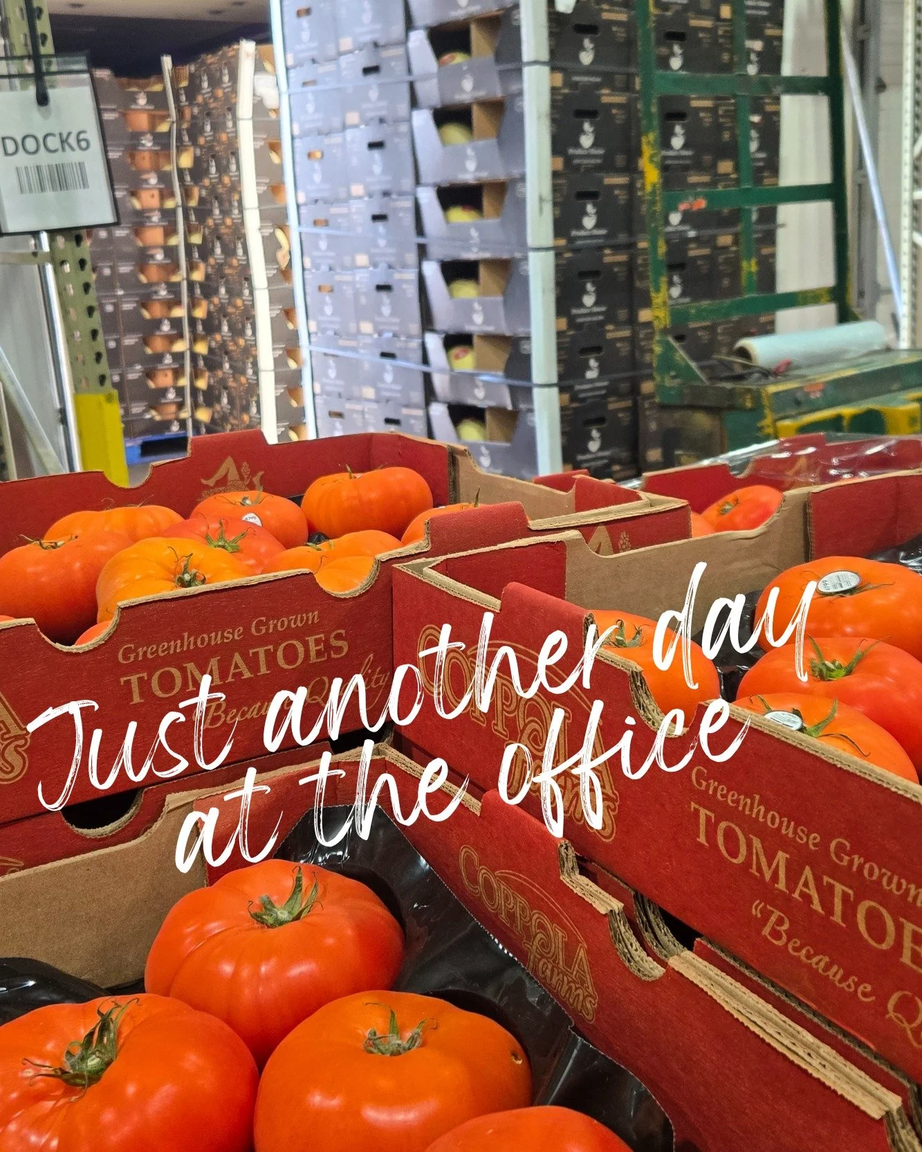 Just another day at the office, WASTING LESS and FEEDING MORE.