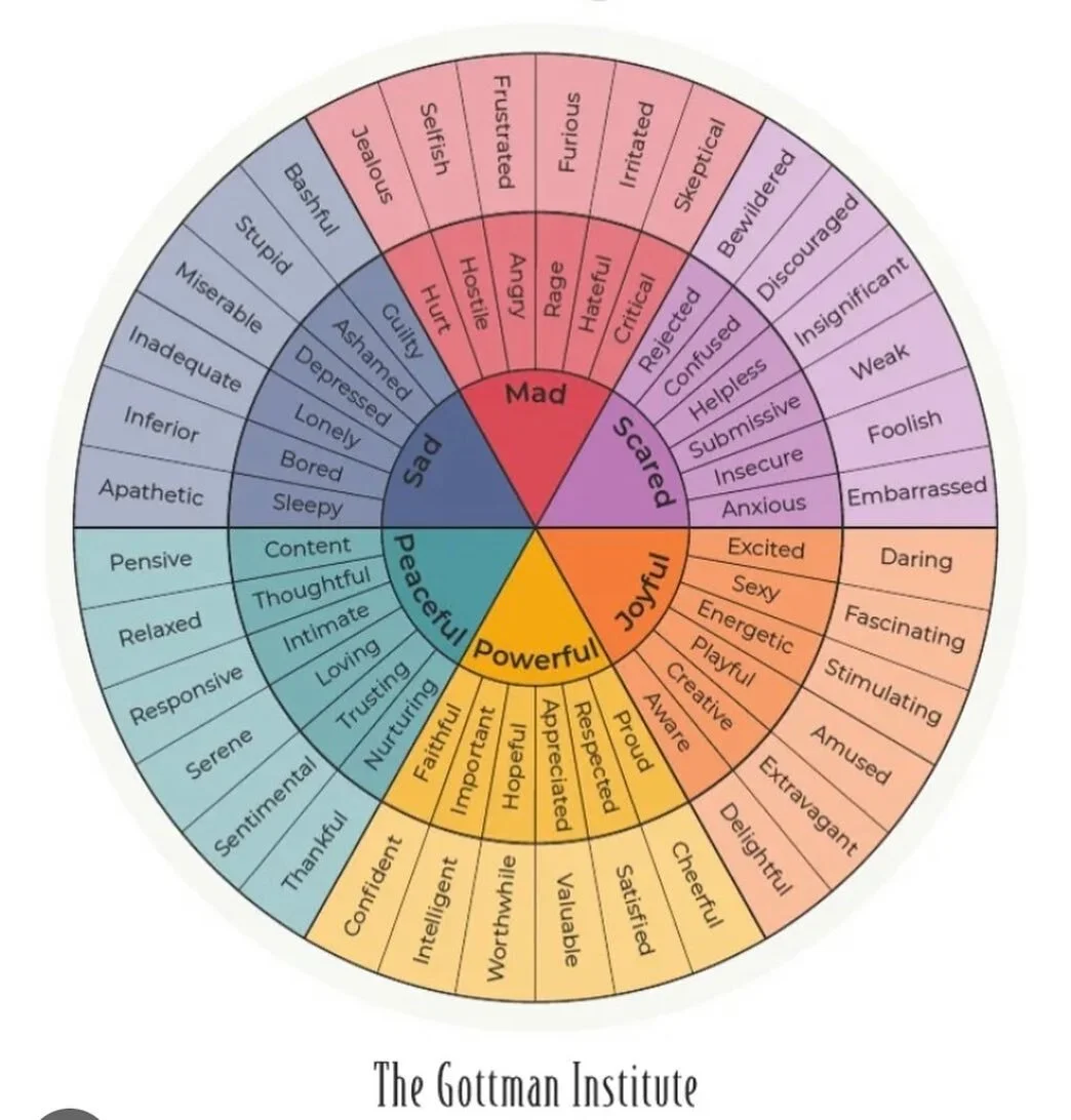 This is The Feeling Wheel. 

It was created by Dr. Gloria Willcox.

It can be a game changer when you are trying to put words to what you are feeling. 

I remember the first time my therapist gave me a copy. I was amazed. 

Now, I use it quite often.