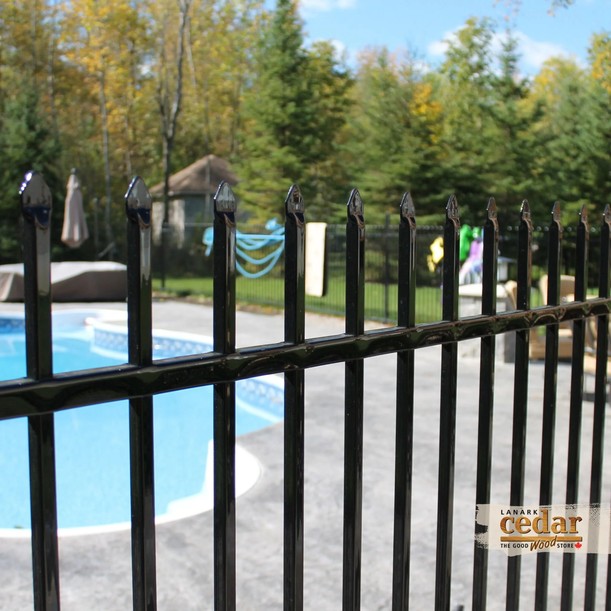 View of a backyard pool area enclosed by a black metal fence. There are trees with fall foliage in the background.