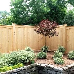 Richmond Cedar Fence Panels