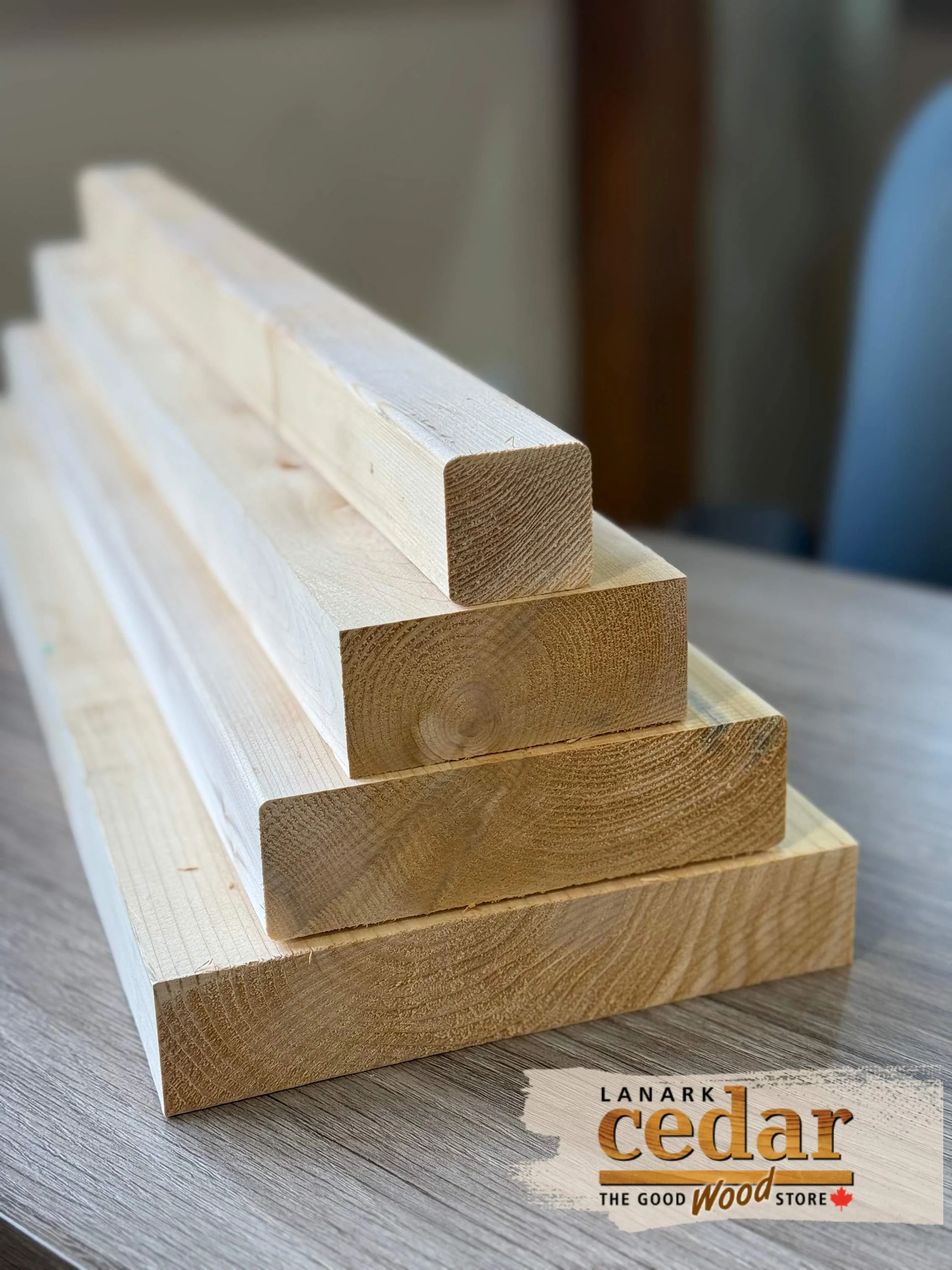 Eastern White Cedar 2