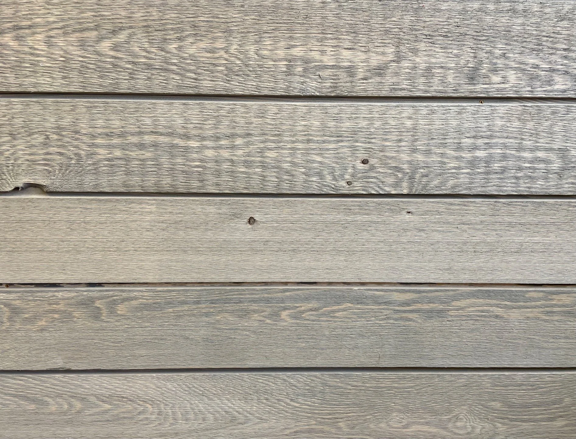 Eastern White Hemlock — Lanark Cedar