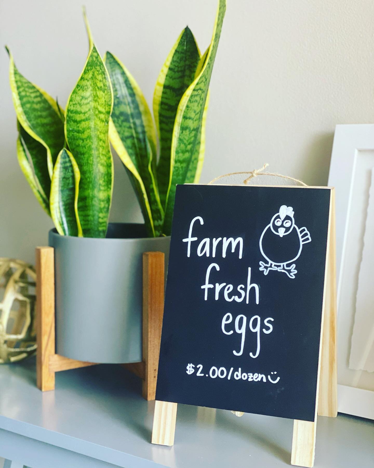 We are now carrying fresh eggs from a local farmer at the office for our patients to pick up during their adjustments!